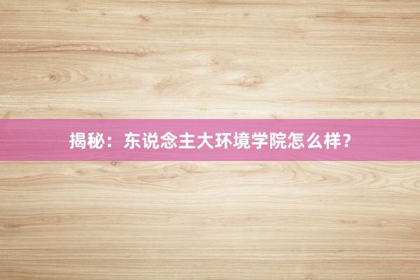 揭秘：东说念主大环境学院怎么样？